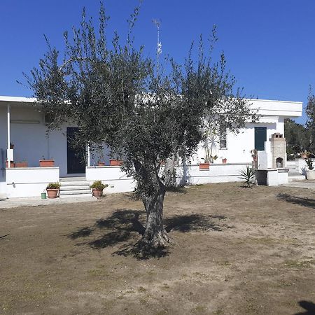Casa Vacanza Fiorella Torre dell'Orso Rum bild