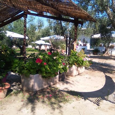 Casa Vacanza Fiorella Torre dell'Orso Exteriör bild