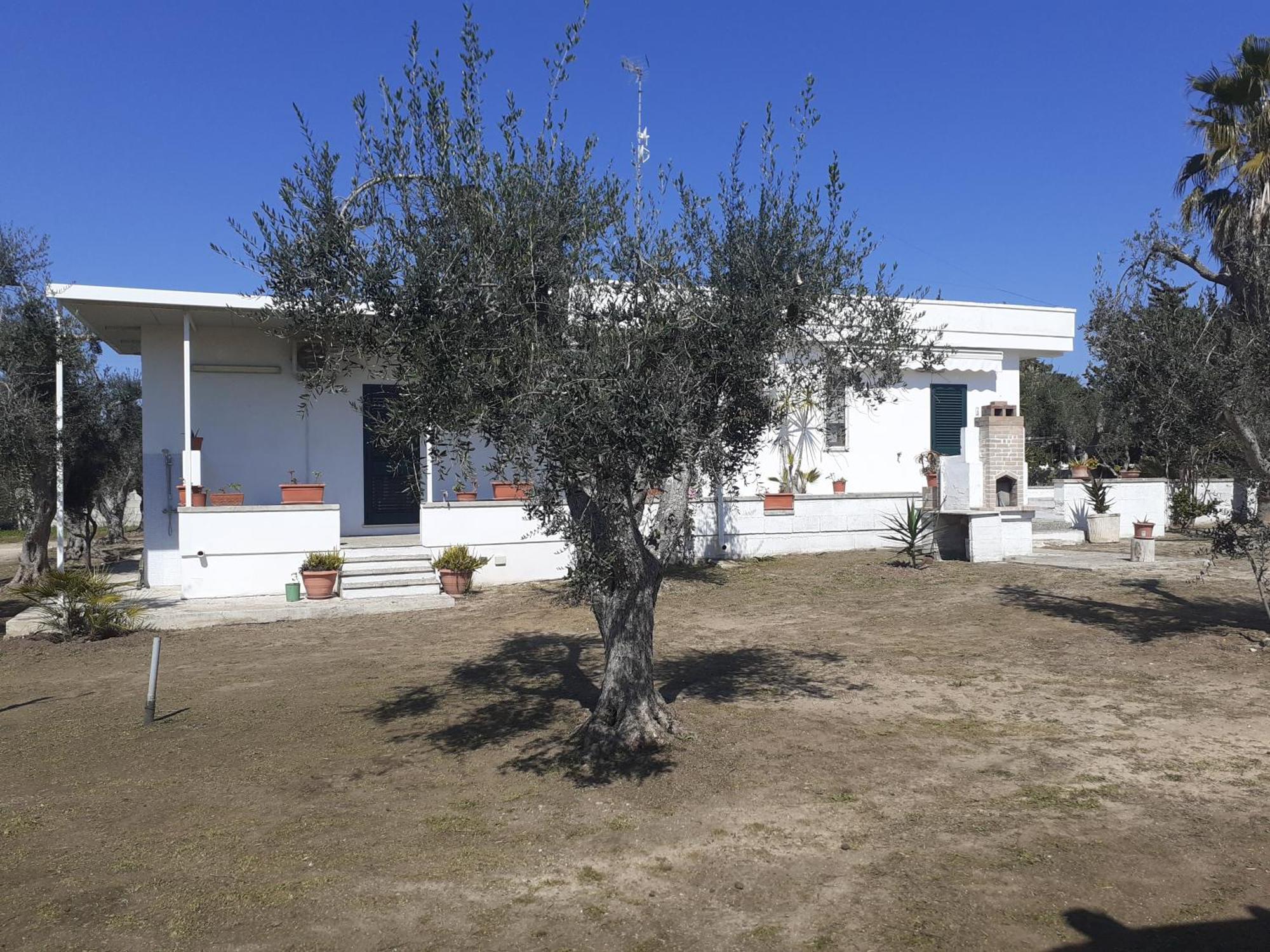 Casa Vacanza Fiorella Torre dell'Orso Rum bild