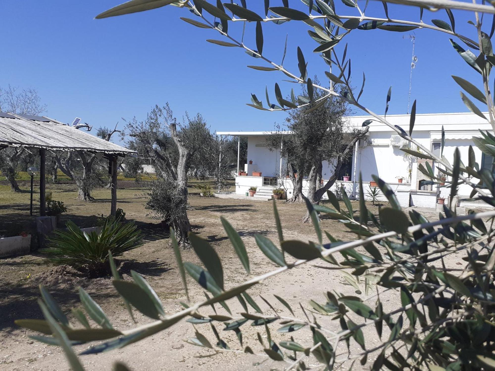 Casa Vacanza Fiorella Torre dell'Orso Rum bild