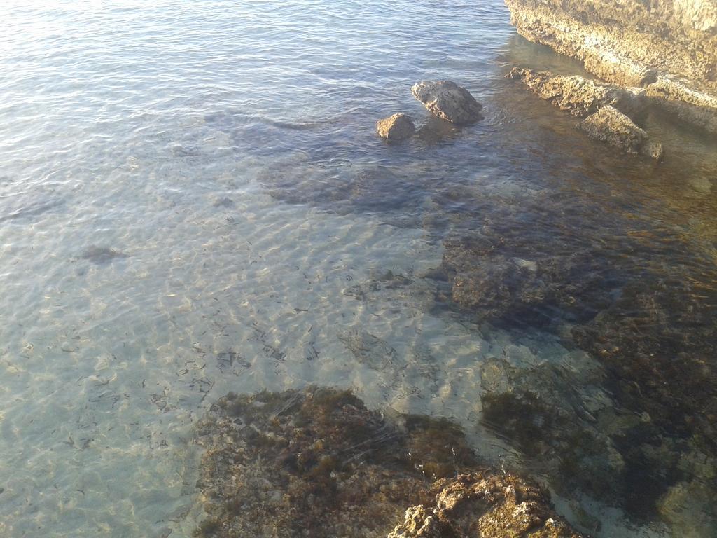 Casa Vacanza Fiorella Torre dell'Orso Exteriör bild