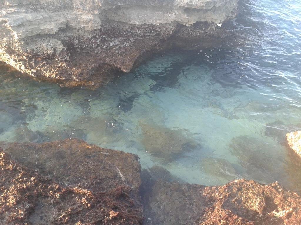 Casa Vacanza Fiorella Torre dell'Orso Exteriör bild