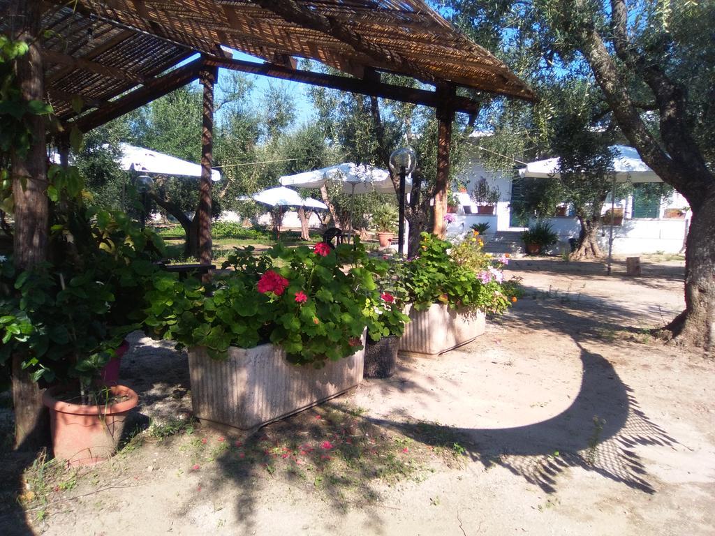 Casa Vacanza Fiorella Torre dell'Orso Exteriör bild